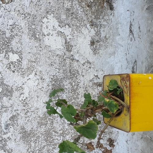 Photo #3578594