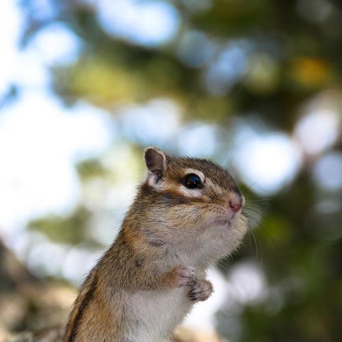 Photo #3578600