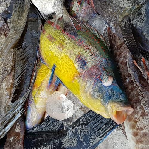 Photo #3578724