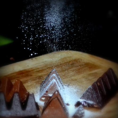 Photo #3578739