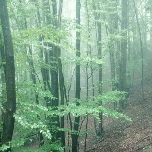 Photo #3578846