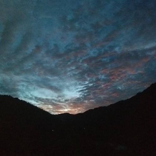 Photo #3578865