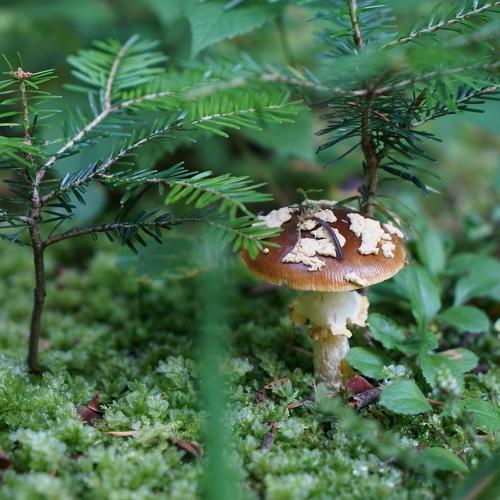 Photo #3578934