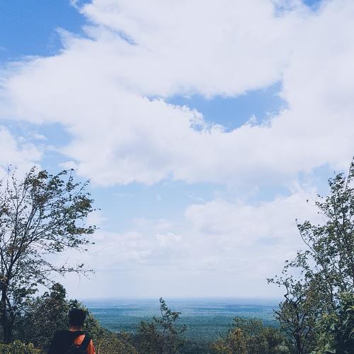 Photo #3579049