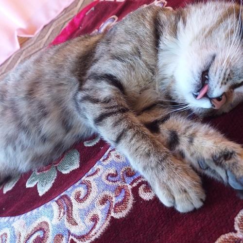 Photo #3579255