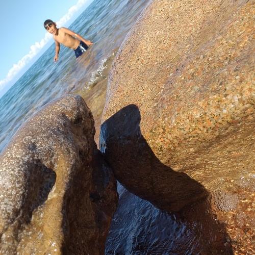 Photo #3579281