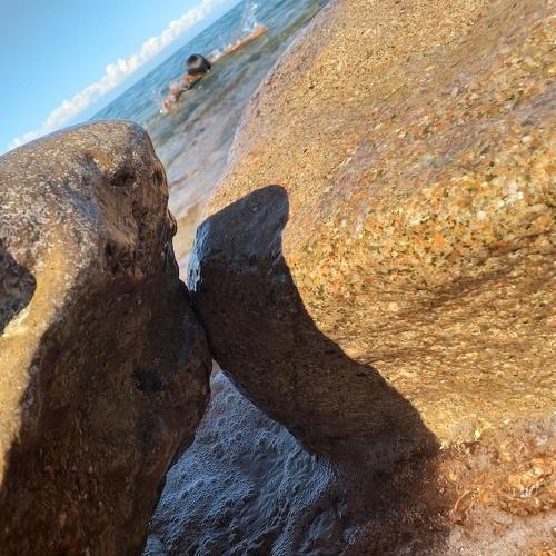 Photo #3579284