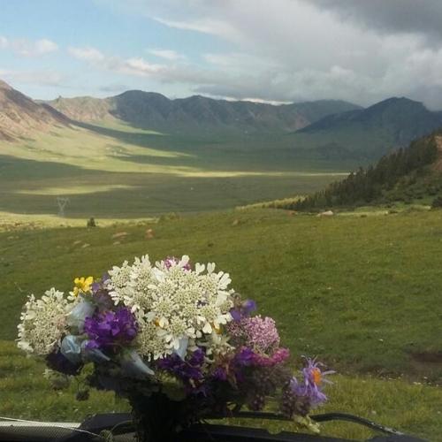 Photo #3579297