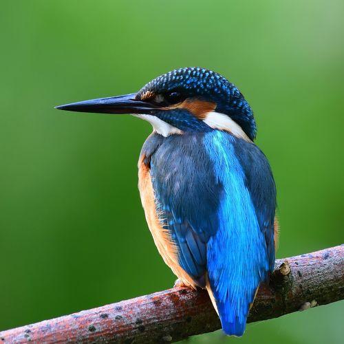 Photo #3579552