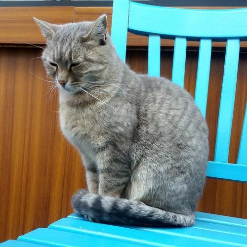 Photo #3579599