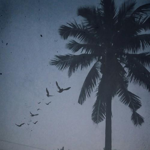 Photo #3579641
