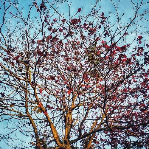 Photo #3579656