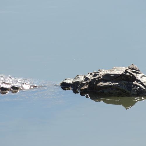 Photo #3579735