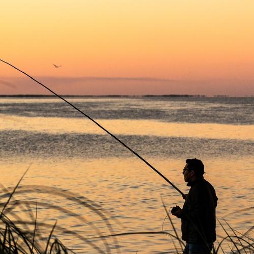Photo #3579864