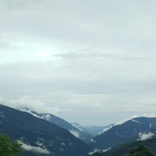 Photo #3580171