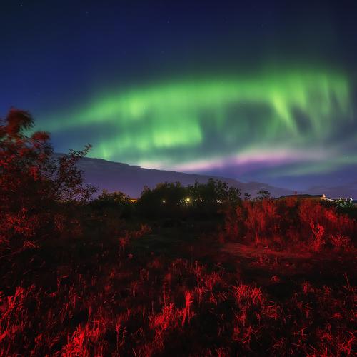 Photo #3580192
