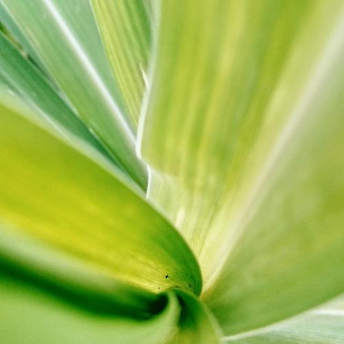 Photo #3580272