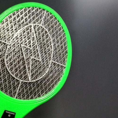 Green insect racquet photo