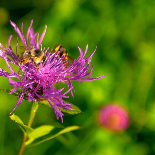 Photo #3580286