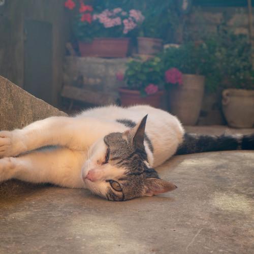 Photo #3580398