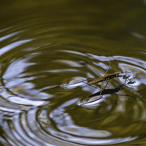 Photo #3580733