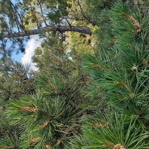 Photo #3580822
