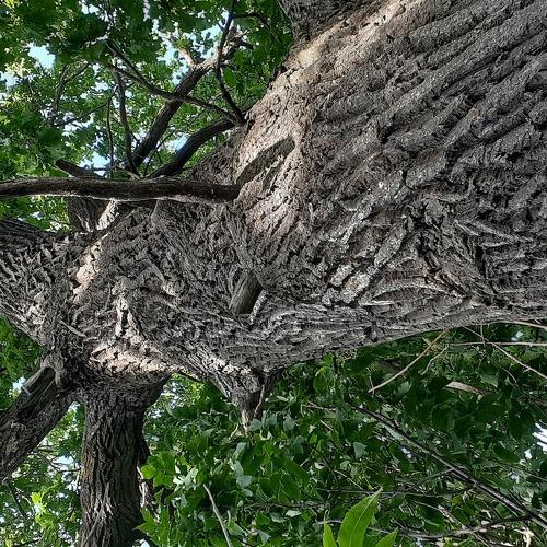 Photo #3580829
