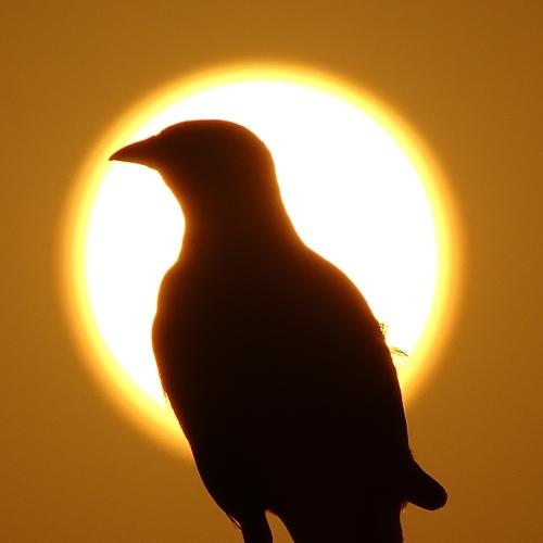 Photo #3580859