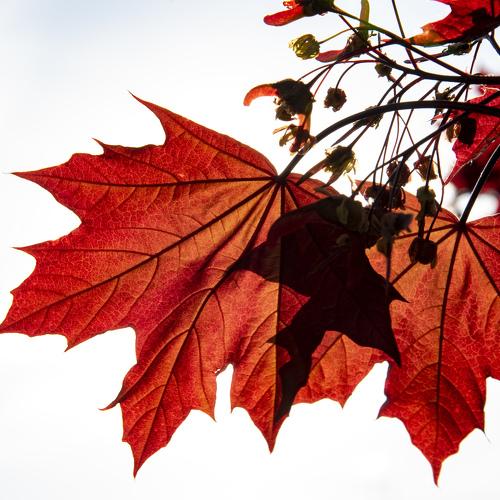 Photo #3581137