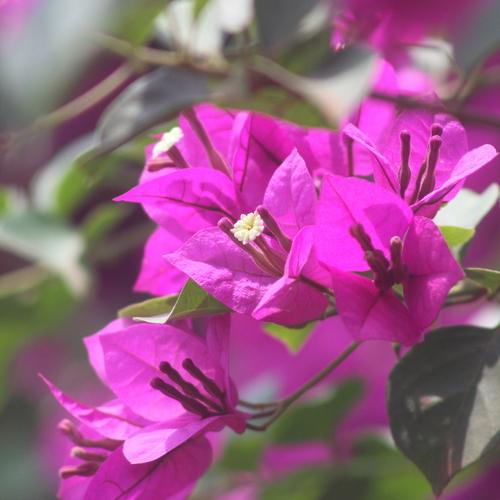 Photo #3581160