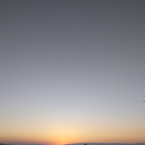 Photo #3581763