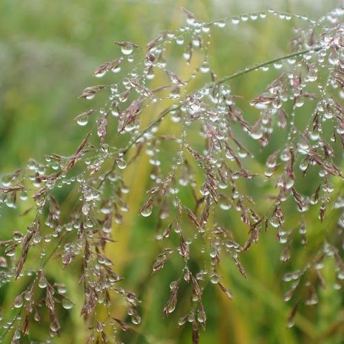 Photo #3582675