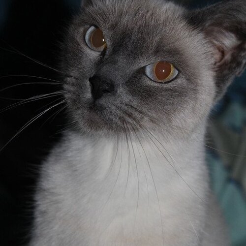 Photo #3582680