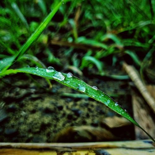 Photo #3582761