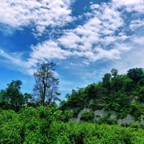 Photo #3582769
