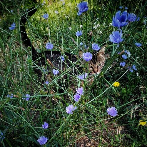 Photo #3582893
