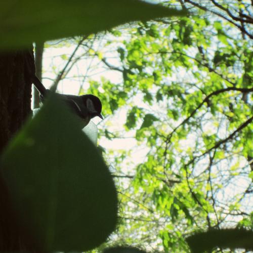 Photo #3582934