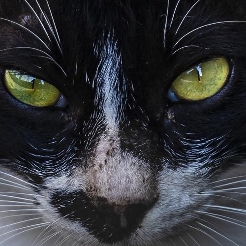 Hypnotic!