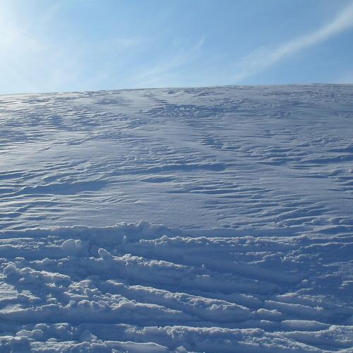 Photo #3583381