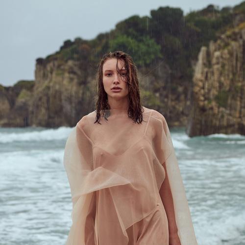 Photo #3583648