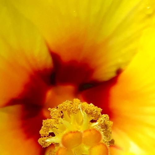 Photo #3583662