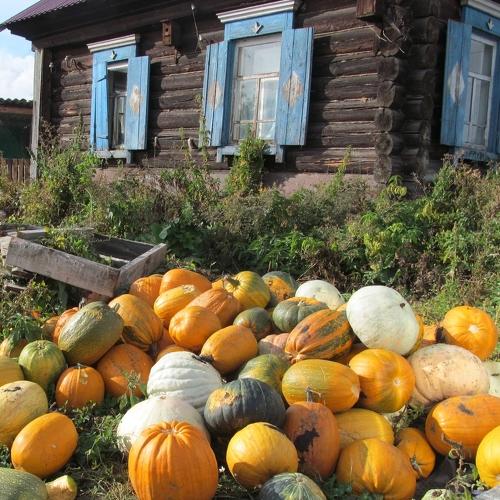 Солнечный