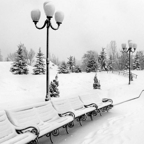 Photo #3583809
