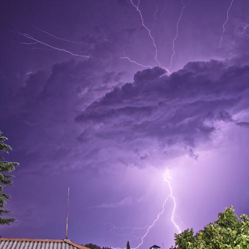 Photo #3583978