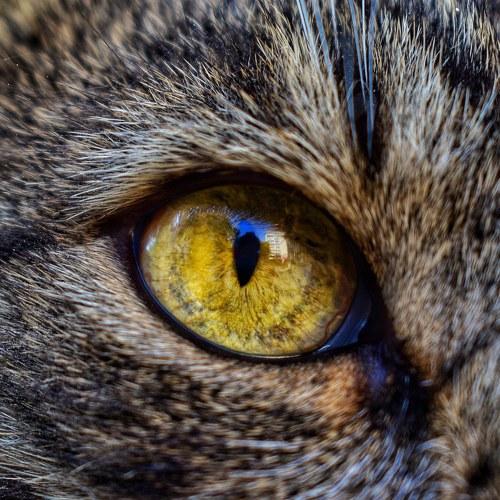 Photo #3584014