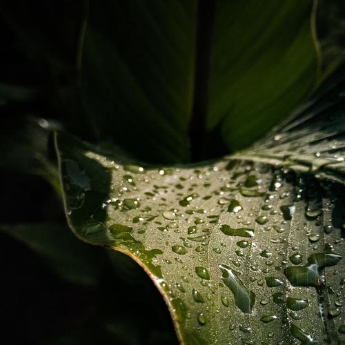 Photo #3584027