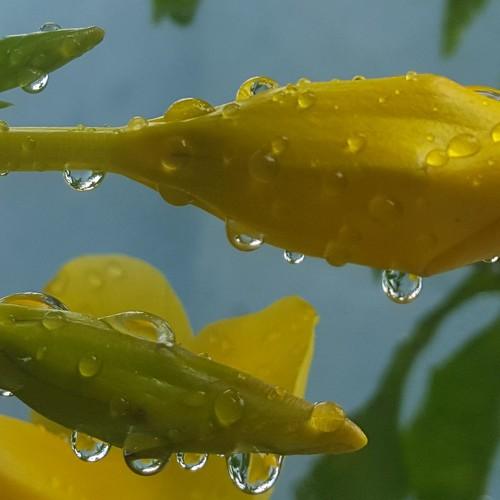 Photo #3584267