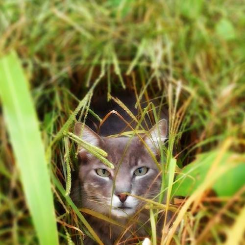 Photo #3584332