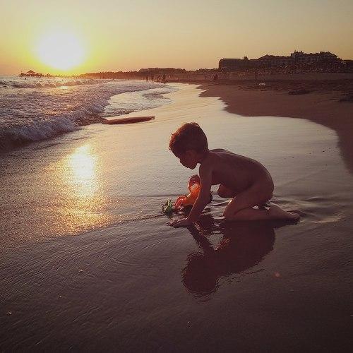 Photo #3584349