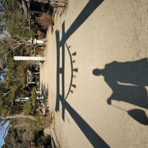 Photo #3584389